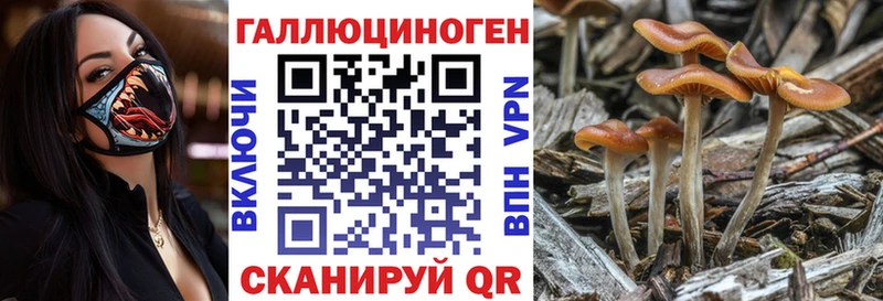 Галлюциногенные грибы мухоморы  Купить  Никольск 